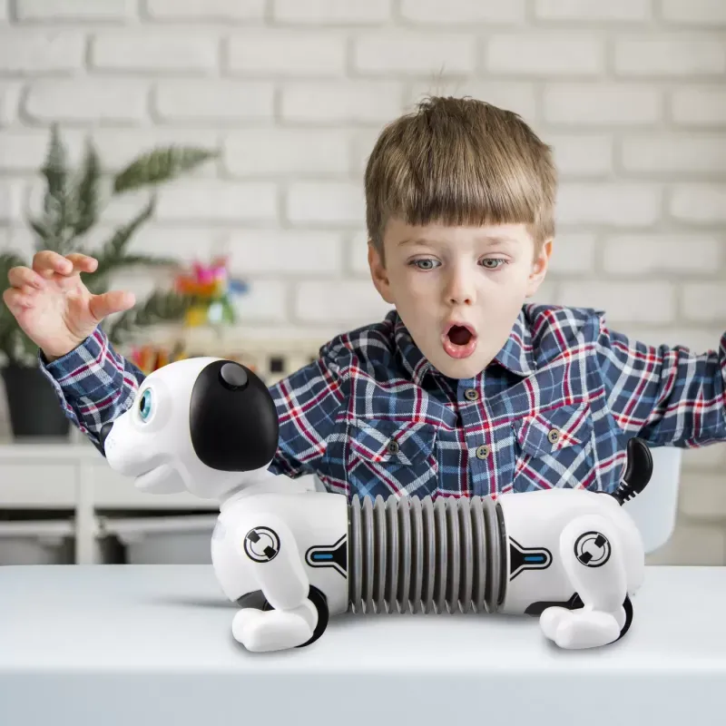 Jucarii, Copii si Bebe - Jucarii si jocuri - Vehicule si jucarii cu telecomanda - Masinute - Robot electronic, Catel Dackel Junior - Infinity.ro