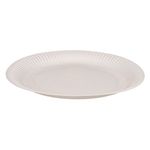 Casa si Gradina - Decoratiuni - Decoratiuni petrecere - Vesela pentru petrecere - Farfurii hartie compostabile, 18 cm, set 10 bucati, alb - Infinity.ro