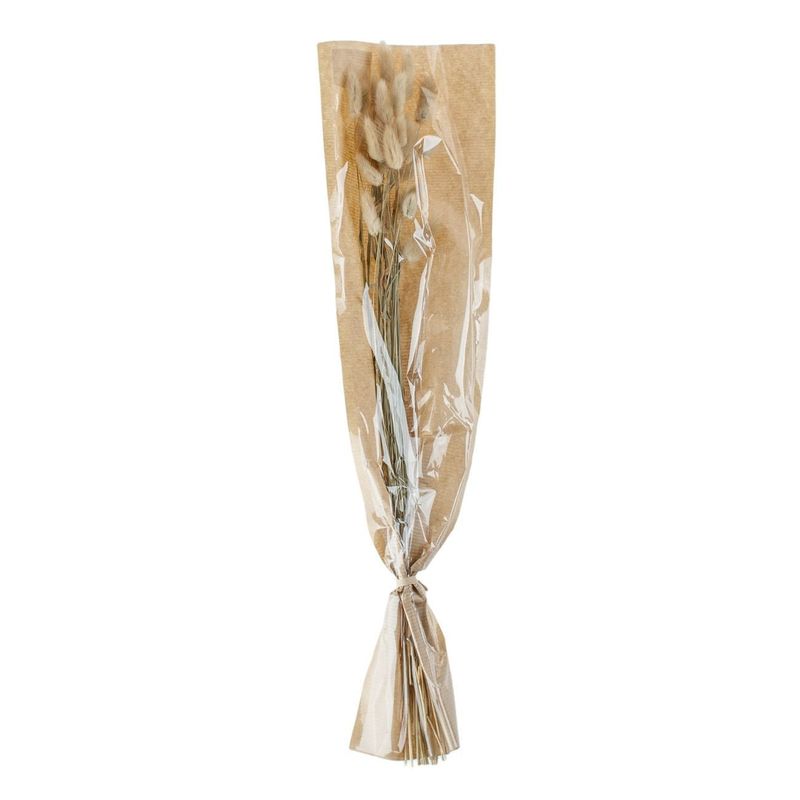 Casa si Gradina - Decoratiuni - Obiecte decorative - Plante artificiale - Ramura decorativa artificiale, bunny tails, 60 cm, culoare bej, set 25 bucati - Infinity.ro