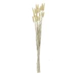 Casa si Gradina - Decoratiuni - Obiecte decorative - Plante artificiale - Ramura decorativa artificiale, bunny tails, 60 cm, culoare bej, set 25 bucati - Infinity.ro