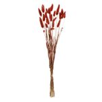 Casa si Gradina - Decoratiuni - Obiecte decorative - Plante artificiale - Ramura decorativa artificiala, model bunny tails, culoare maro, inaltime 60cm, set 25 bucati - Infinity.ro