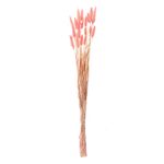 Casa si Gradina - Decoratiuni - Obiecte decorative - Plante artificiale - Ramura decorativa, model bunny tails, set 25 bucati, culoare roz, inaltime 60cm - Infinity.ro