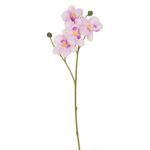 Casa si Gradina - Decoratiuni - Obiecte decorative - Plante artificiale - Floare artificiala, orhidee, tulpina scurta, culoare roz, 36 cm - Infinity.ro