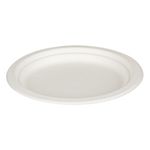 Casa si Gradina - Decoratiuni - Decoratiuni petrecere - Vesela pentru petrecere - Farfurii compostabile, 23cm, set 10 bucati, material trestie de zahar, alb - Infinity.ro