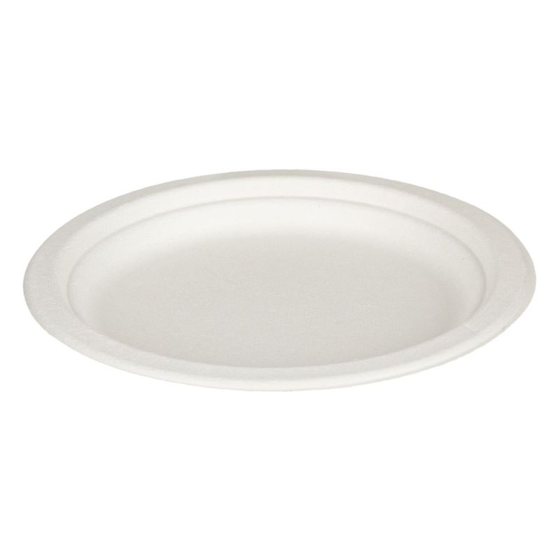 Casa si Gradina - Decoratiuni - Decoratiuni petrecere - Vesela pentru petrecere - Farfurii compostabile, 23cm, set 10 bucati, material trestie de zahar, alb - Infinity.ro