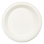 Casa si Gradina - Decoratiuni - Decoratiuni petrecere - Vesela pentru petrecere - Farfurii compostabile, 23cm, set 10 bucati, material trestie de zahar, alb - Infinity.ro