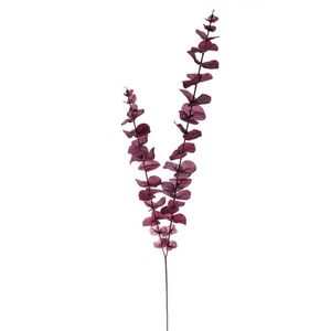 Casa si Gradina - Decoratiuni - Obiecte decorative - Infinity.ro