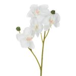 Casa si Gradina - Decoratiuni - Obiecte decorative - Plante artificiale - Floare artificiala orhidee, 35cm, culoare alb crem, material plastic - Infinity.ro