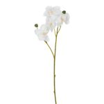 Casa si Gradina - Decoratiuni - Obiecte decorative - Plante artificiale - Floare artificiala orhidee, 35cm, culoare alb crem, material plastic - Infinity.ro