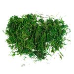 Casa si Gradina - Decoratiuni - Decoratiuni de sezon - Iarba decorativa craciun, 30g, verde - Infinity.ro