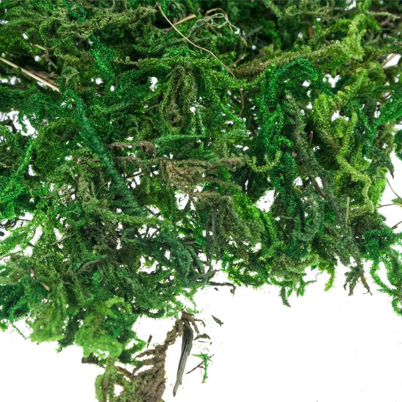 Casa si Gradina - Decoratiuni - Decoratiuni de sezon - Iarba decorativa craciun, 30g, verde - Infinity.ro