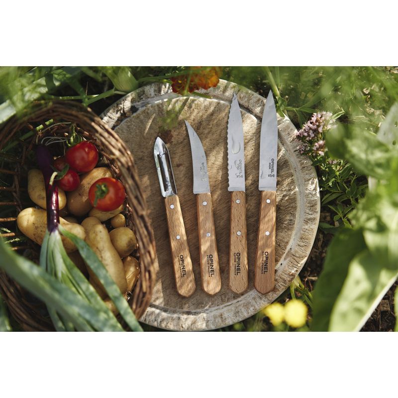 Casa si Gradina - Bucatarie si vesela - Vesela si tacamuri - Cutite si seturi de cutite - Set cutite de bucatarie 4 piese, "Les Essentiels" - Opinel - Infinity.ro