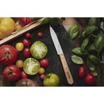 Casa si Gradina - Bucatarie si vesela - Vesela si tacamuri - Cutite si seturi de cutite - Set cutite de bucatarie 4 piese, "Les Essentiels" - Opinel - Infinity.ro