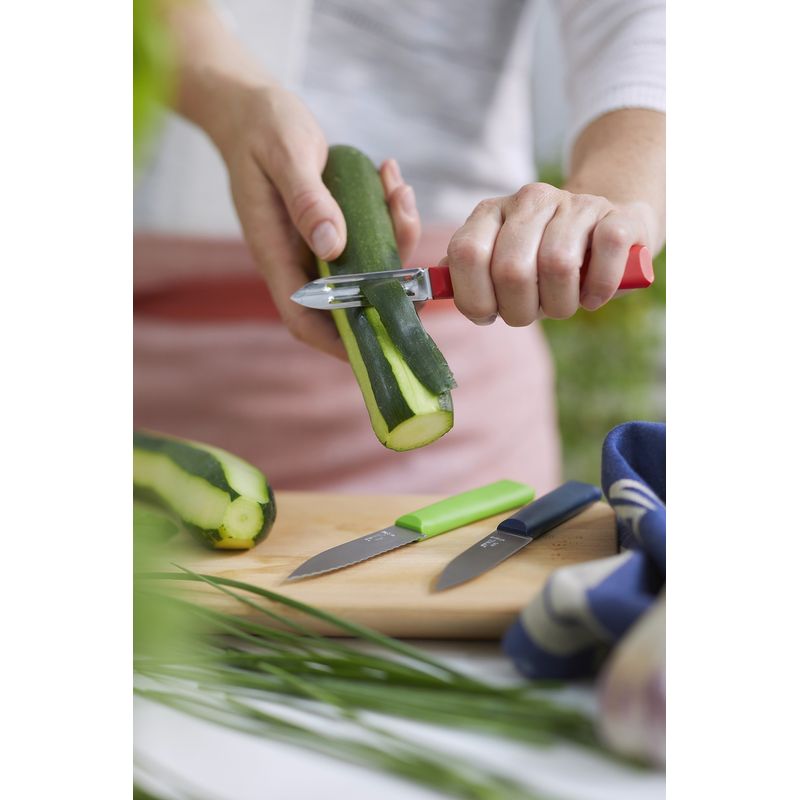 Casa si Gradina - Bucatarie si vesela - Vesela si tacamuri - Cutite si seturi de cutite - Set cutite 3 piese, inox, "Les Essentiels" - Opinel - Infinity.ro