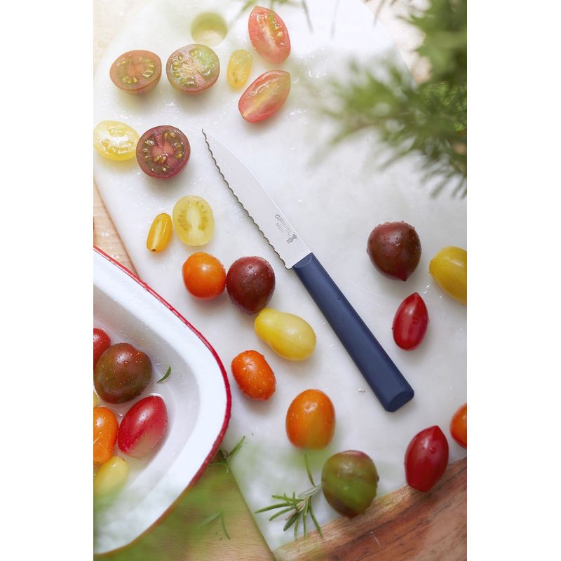 Casa si Gradina - Bucatarie si vesela - Vesela si tacamuri - Cutite si seturi de cutite - Set cutite 3 piese, inox, "Les Essentiels" - Opinel - Infinity.ro