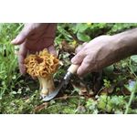 Sport si Outdoor - Camping - Cutite, bricege si accesorii - Cutite si bricege - Cutit pentru ciuperci N°08, cu teaca, inox, 8cm, Oak - Opinel - Infinity.ro