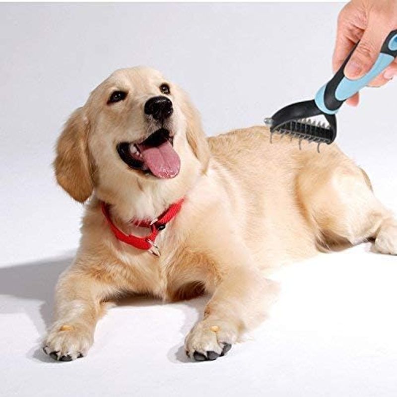 image-a3ed676e5d5f41b286660538e657f3ac