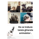 Petshop - Ingrijire si Igiena - Produse uz extern - Perii si manusi - Set ingrijire animale de companie OnePet marime S, 6 dinti, compus din pieptene descalcitor, cleste, pila, pentru curata - Infinity.ro