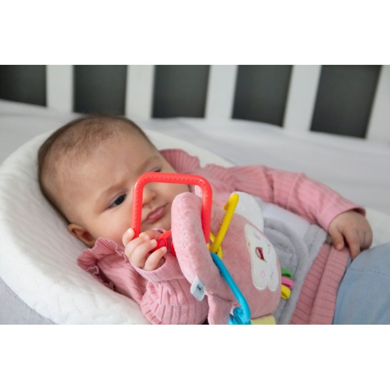 Jucarii, Copii si Bebe - Jucarii si jocuri - Jucarii bebelusi - Jucarii pentru dentitie - Jucarie din plus pentru bebelusi cu inele dentitie Funny Monkey BabyJem (Culoare: Roz) - Infinity.ro