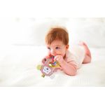 Jucarii, Copii si Bebe - Jucarii si jocuri - Jucarii bebelusi - Jucarii pentru dentitie - Jucarie din plus pentru bebelusi cu inele dentitie Funny Monkey BabyJem (Culoare: Roz) - Infinity.ro