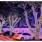 Casa si Gradina - Corpuri si surse de iluminat - Iluminat exterior - Instalatii luminoase exterior - Instalatie Luminoasa Solara, IP44, de 30/50/100m Lungime, cu 150/250/500 LED-uri, Lumina Multicolora - 50m-250LED - Infinity.ro