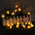 Casa si Gradina - Corpuri si surse de iluminat - Iluminat exterior - Instalatii luminoase exterior - Instalatie Luminoasa Solara, 6.5m, 50 LED-uri in Forma de Albine, IP65, Lumina Alba Calda/Multicolor - Alb Cald - Infinity.ro