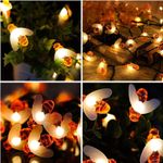 Casa si Gradina - Corpuri si surse de iluminat - Iluminat exterior - Instalatii luminoase exterior - Instalatie Luminoasa Solara, 6.5m, 50 LED-uri in Forma de Albine, IP65, Lumina Alba Calda/Multicolor - Alb Cald - Infinity.ro