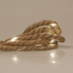 Casa si Gradina - Decoratiuni - Decoratiuni de sezon - Infinity.ro