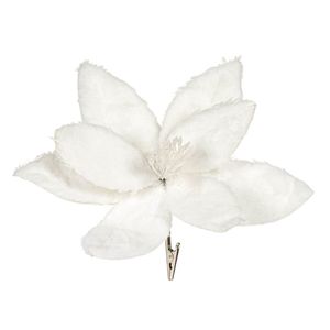 Casa si Gradina - Decoratiuni - Decoratiuni de sezon - Infinity.ro