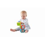 Petshop - Accesorii petshop - Jucarii animale - Jucarii educative - Fisher price cuburi cu activitati - Infinity.ro