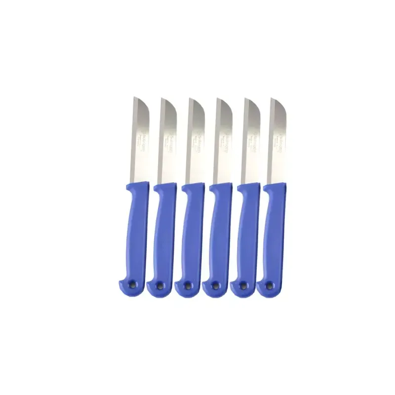 Casa si Gradina - Bucatarie si vesela - Vesela si tacamuri - Cutite si seturi de cutite - Cutit de buzunar pentru ustensile de mese - set de 6 bucati - Infinity.ro