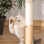 Petshop - Accesorii petshop - Jucarii animale - Ansambluri de joaca - Ansamblu de joaca pentru pisici, cu stalp, bile si ciucuri cu pene, 40x37x51 cm - Infinity.ro