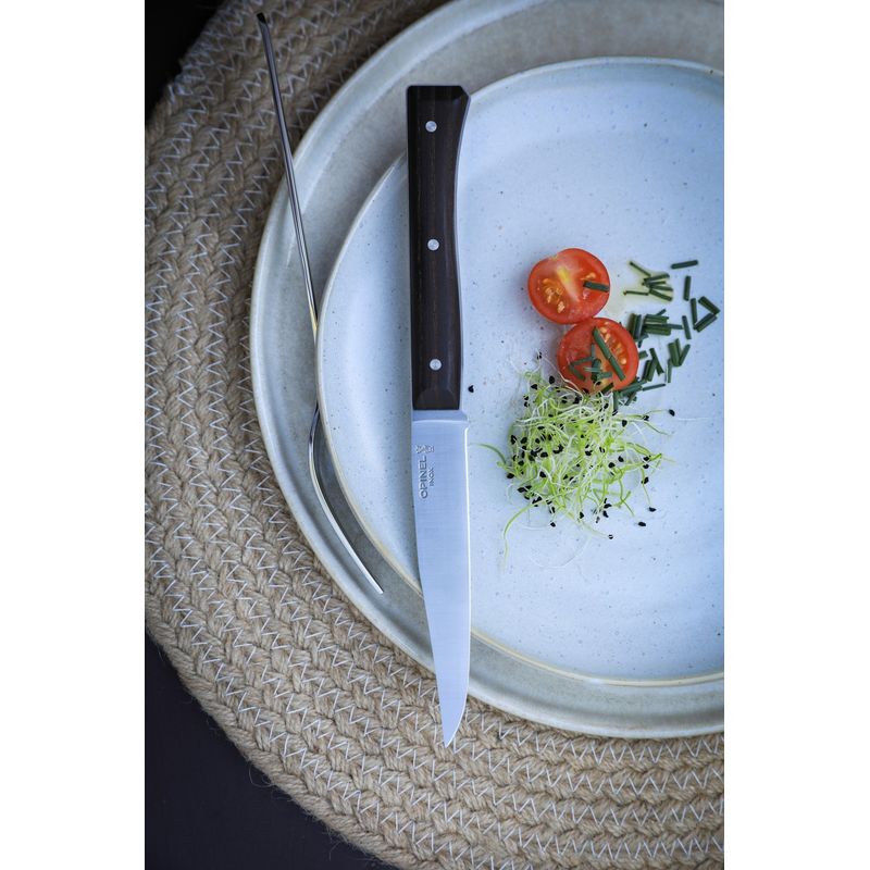 Sport si Outdoor - Camping - Cutite, bricege si accesorii - Cutite si bricege - Set 4 cutite de masa, inox, 11cm, "Facette", Dark Ash - Opinel - Infinity.ro