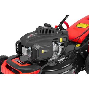 Casa si Gradina - Gradinarit si plante - Utilaje gradina - Infinity.ro