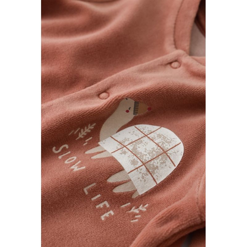 Fashion, accesorii si bijuterii - Copii - Imbracaminte copii - Salopete copii - Set Broscuta cu salopeta si body din 80%bumbac organic si 20% poliester - Caramiziu, BabyCosy (Marime: 3-6 Luni) - Infinity.ro