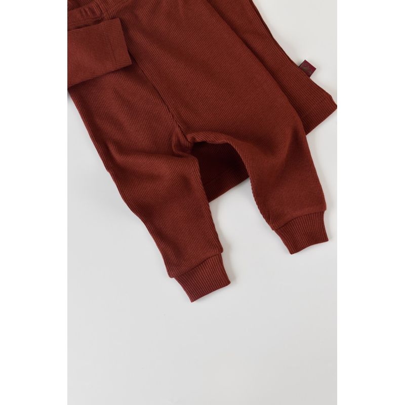 Fashion, accesorii si bijuterii - Copii - Imbracaminte copii - Treninguri si compleuri copii - Set 3 piese: bluzita cu maneca lunga, pantaloni lungi si caciulita din bumbac organic si modal - Caramiziu BabyCosy (Marime: 3-6 - Infinity.ro