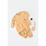 Fashion, accesorii si bijuterii - Copii - Imbracaminte copii - Treninguri si compleuri copii - Set bluzita cu maneca lunga si pantaloni lungi - bumbac organic 100% - Mustar, BabyCosy (Marime: 6-9 luni) - Infinity.ro