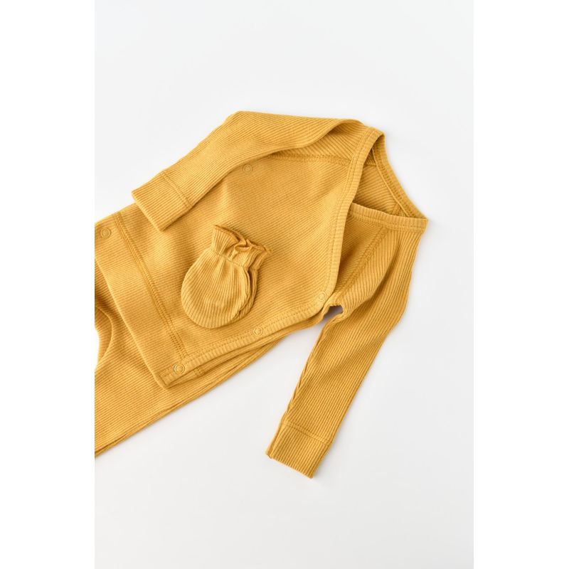 Fashion, accesorii si bijuterii - Copii - Imbracaminte copii - Treninguri si compleuri copii - Set 4 piese: bluza, pantaloni, caciulita si manusi din bumbac organic si modal - Mustar, BabyCosy (Marime: 6-9 luni) - Infinity.ro