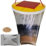 Casa si Gradina - Gradinarit si plante - Intretinere gradina - Articole daunatori gradina - Capcana pentru insecte, plastic, 20x28 cm, Malatec - Infinity.ro