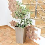 Casa si Gradina - Gradinarit si plante - Plante si ghivece - Ghivece si suporturi - Ghiveci decorativ de flori, Prosperplast, Rato, imitatie ratan, patrat, cafeniu, 22.5x22.5x42.1 cm - Infinity.ro