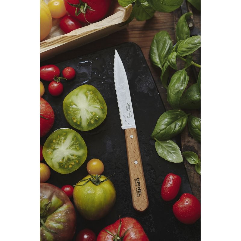 Casa si Gradina - Bucatarie si vesela - Vesela si tacamuri - Cutite si seturi de cutite - Cutit cu lama serata N°113, inox, 10cm, "Les Essentiels" - Opinel - Infinity.ro