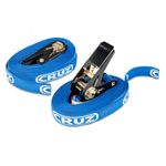 Casa si Gradina - Constructii - Depozitare, transport si protectie - Accesorii echipamente pentru transport si ridicat - Chingi de fixare cu clichet de 5m, 2 buc - Infinity.ro