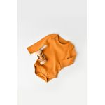 Fashion, accesorii si bijuterii - Copii - Imbracaminte copii - Body-uri copii - Body Bebe Unisex cu maneca lunga din 95% bumbac organic cu 5% elastan - Sofran, BabyCosy (Marime: 18-24 Luni) - Infinity.ro
