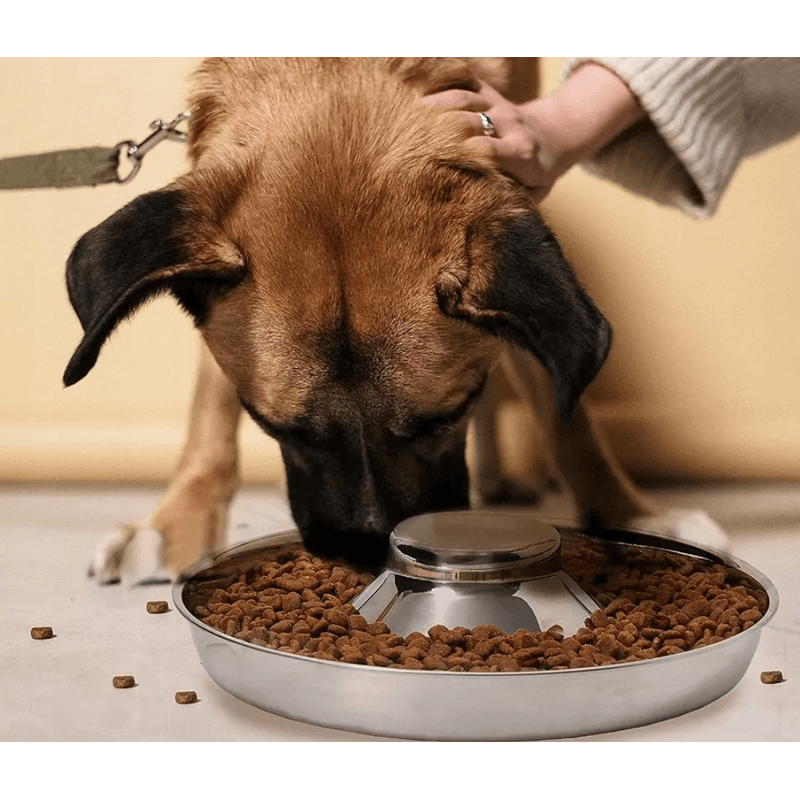 Petshop - Accesorii petshop - Castroane si adapatori - Bol circular pentru Caini si Pisici din Metal, Ideal pentru Apa, Hrana Uscata sau Umeda, Diametru 26cm - Infinity.ro