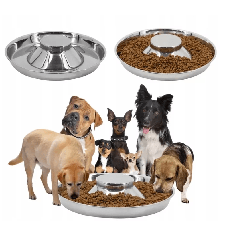 Petshop - Accesorii petshop - Castroane si adapatori - Bol circular pentru Caini si Pisici din Metal, Ideal pentru Apa, Hrana Uscata sau Umeda, Diametru 26cm - Infinity.ro