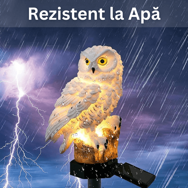 Casa si Gradina - Corpuri si surse de iluminat - Iluminat exterior - Lampi solare - Lampa Solara de Exterior, cu Panou Solar Incorporat, 180°, Iluminare LED, tip Bufnita cu Tarus, Rezistenta la Apa IP44 - Infinity.ro