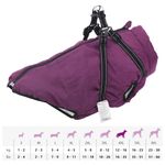 Petshop - Articole imbracaminte - Haine animale - Haina caini cu ham impermeabila reflectorizanta, violet, 3XL - Infinity.ro
