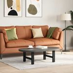 Casa si Gradina - Mobilier - Feronerie si accesorii mobila - Picioare masuta de cafea Negru 2 buc 30×50 cm Otel - Infinity.ro