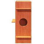 Petshop - Accesorii petshop - Jucarii animale - Ansambluri de joaca - Ceara pentru Casa pisici maro 43x43x90 cm Lemn masiv de pin - Infinity.ro