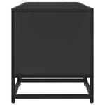 Casa si Gradina - Mobilier - Comode si corpuri - Comode - Dulap TV, negru, 120x35x41 cm, lemn prelucrat si metal - Infinity.ro